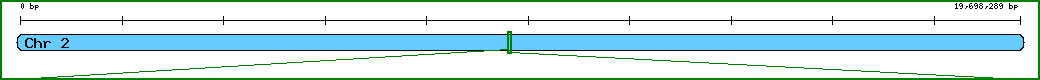 Chromosome image