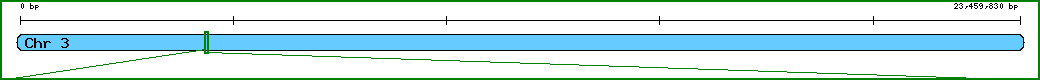Chromosome image