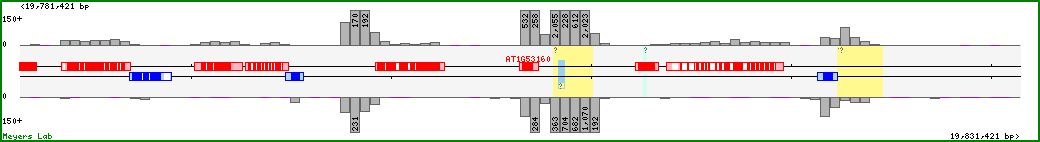 Chromosome map