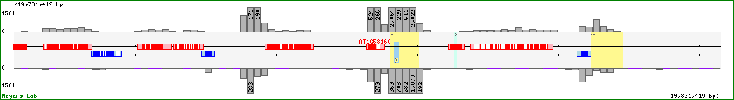 Chromosome map