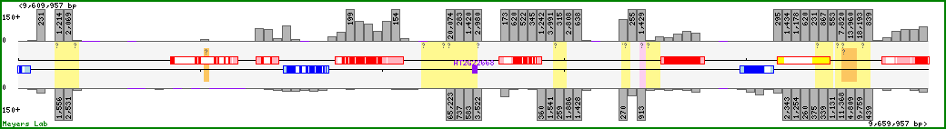 Chromosome map