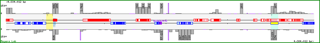 Chromosome map