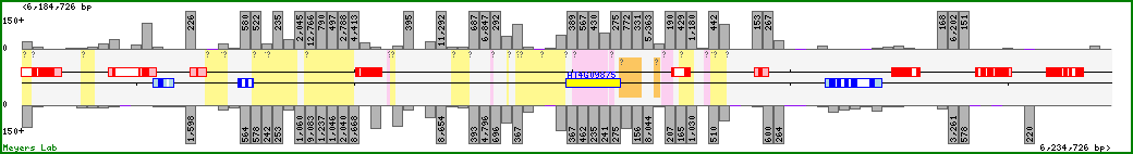 Chromosome map