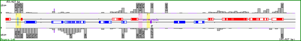 Chromosome map