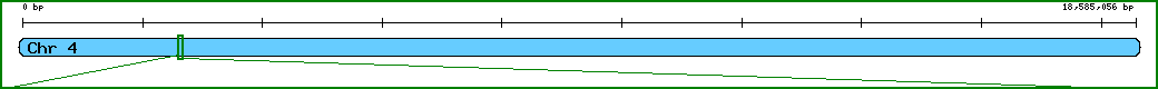 Chromosome image