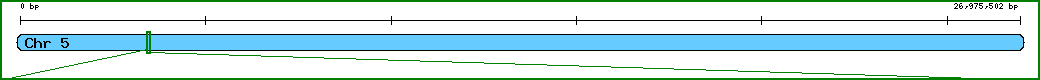 Chromosome image