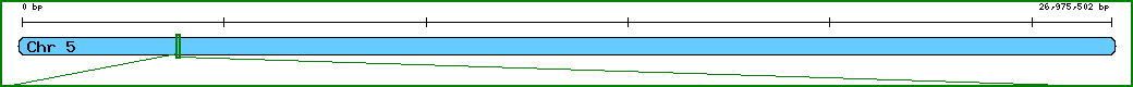 Chromosome image