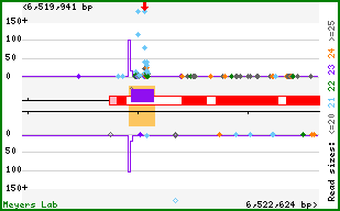 Gene map