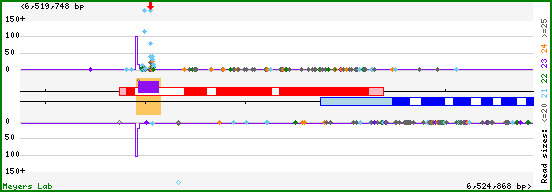 Gene map