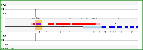 Phasing analysis map