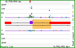 Gene map