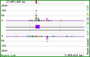 Gene map