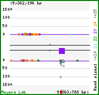 Gene map