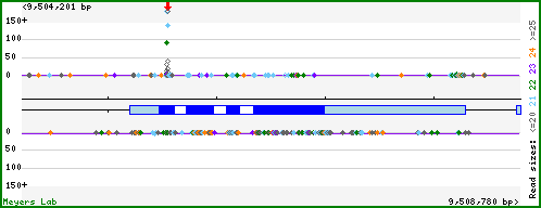 Gene map