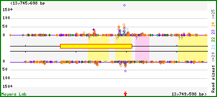 Gene map