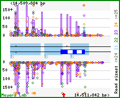 Gene map