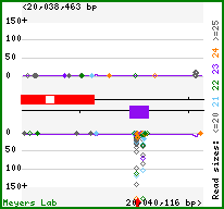 Gene map