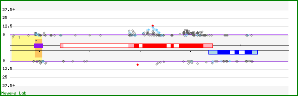 Phasing analysis map