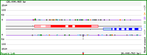 Gene map