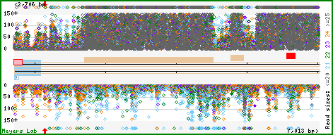 Gene map