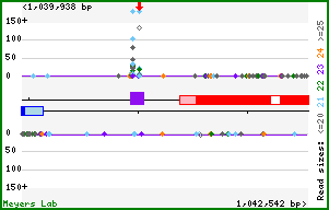Gene map