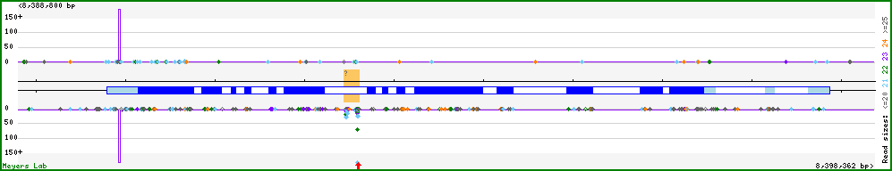 Gene map