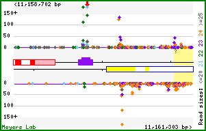Gene map