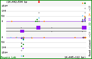 Gene map