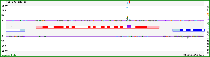 Gene map