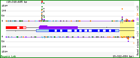 Gene map