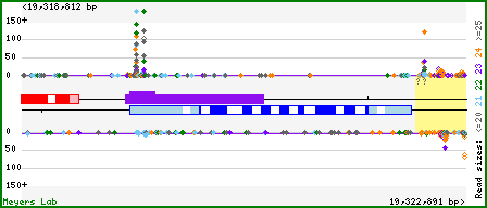 Gene map