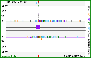 Gene map