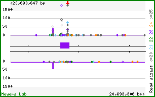 Gene map