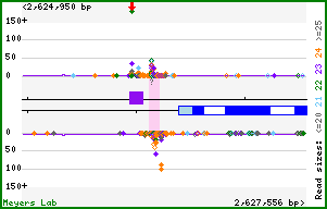 Gene map