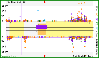 Gene map