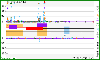 Gene map