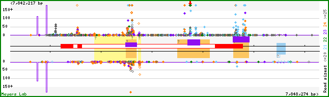 Gene map