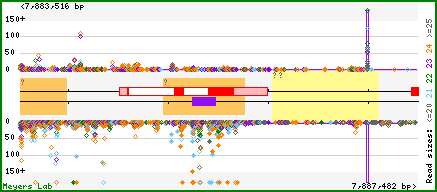 Gene map
