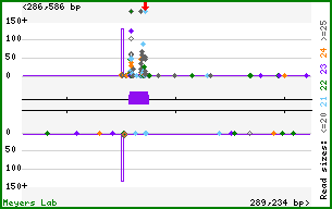 Gene map