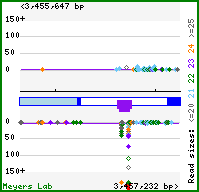 Gene map