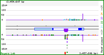 Gene map