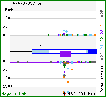 Gene map