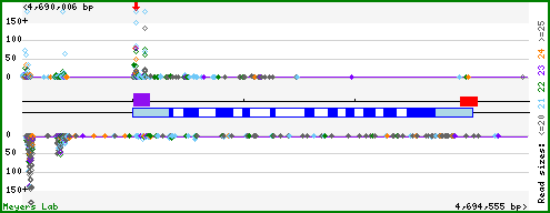 Gene map