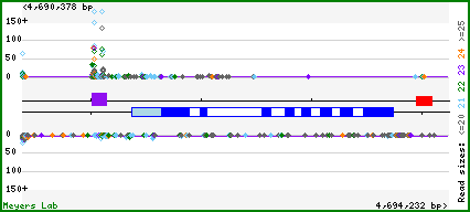 Gene map