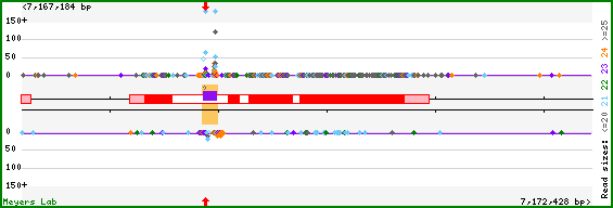 Gene map