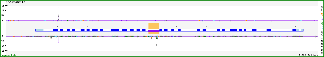Gene map