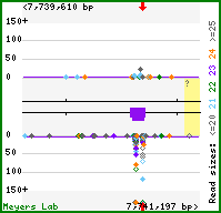 Gene map