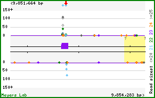 Gene map