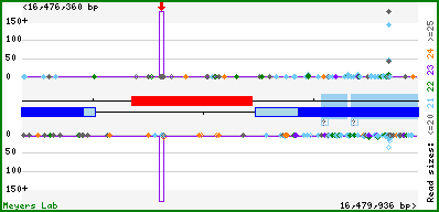 Gene map