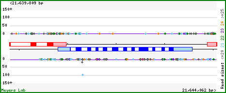 Gene map